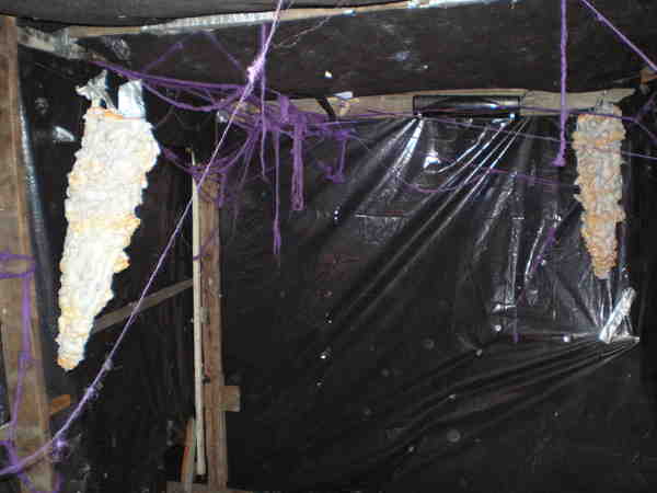 Halloween2010_004