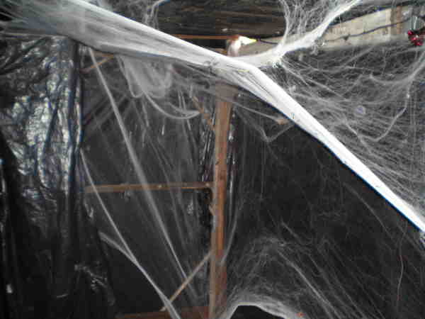 Halloween2010_008