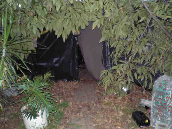 Halloween2010_016